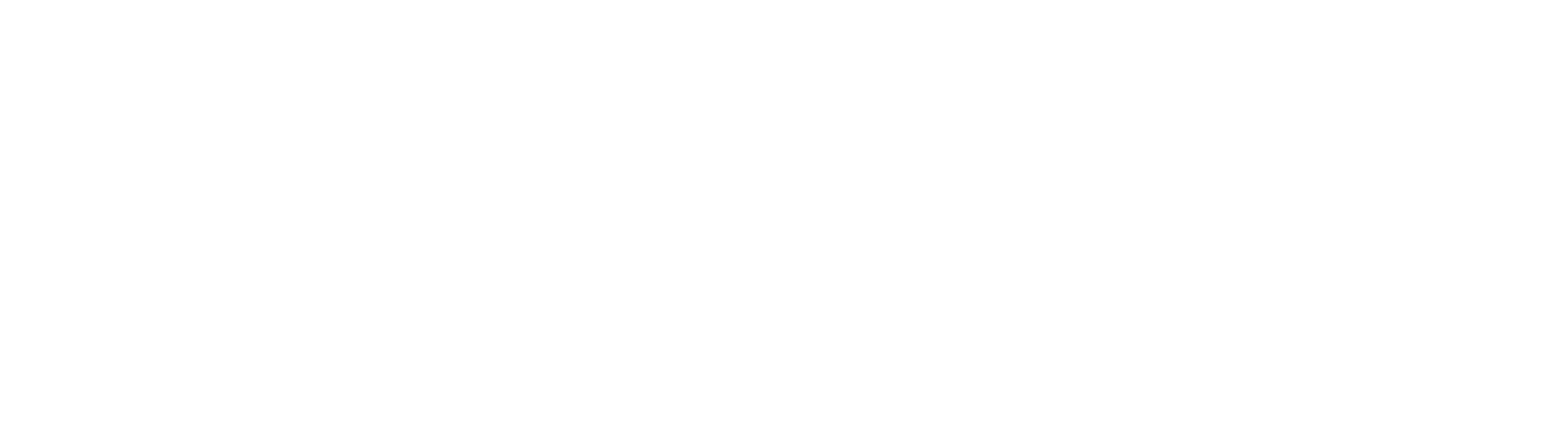 Logo Vibes Hosting